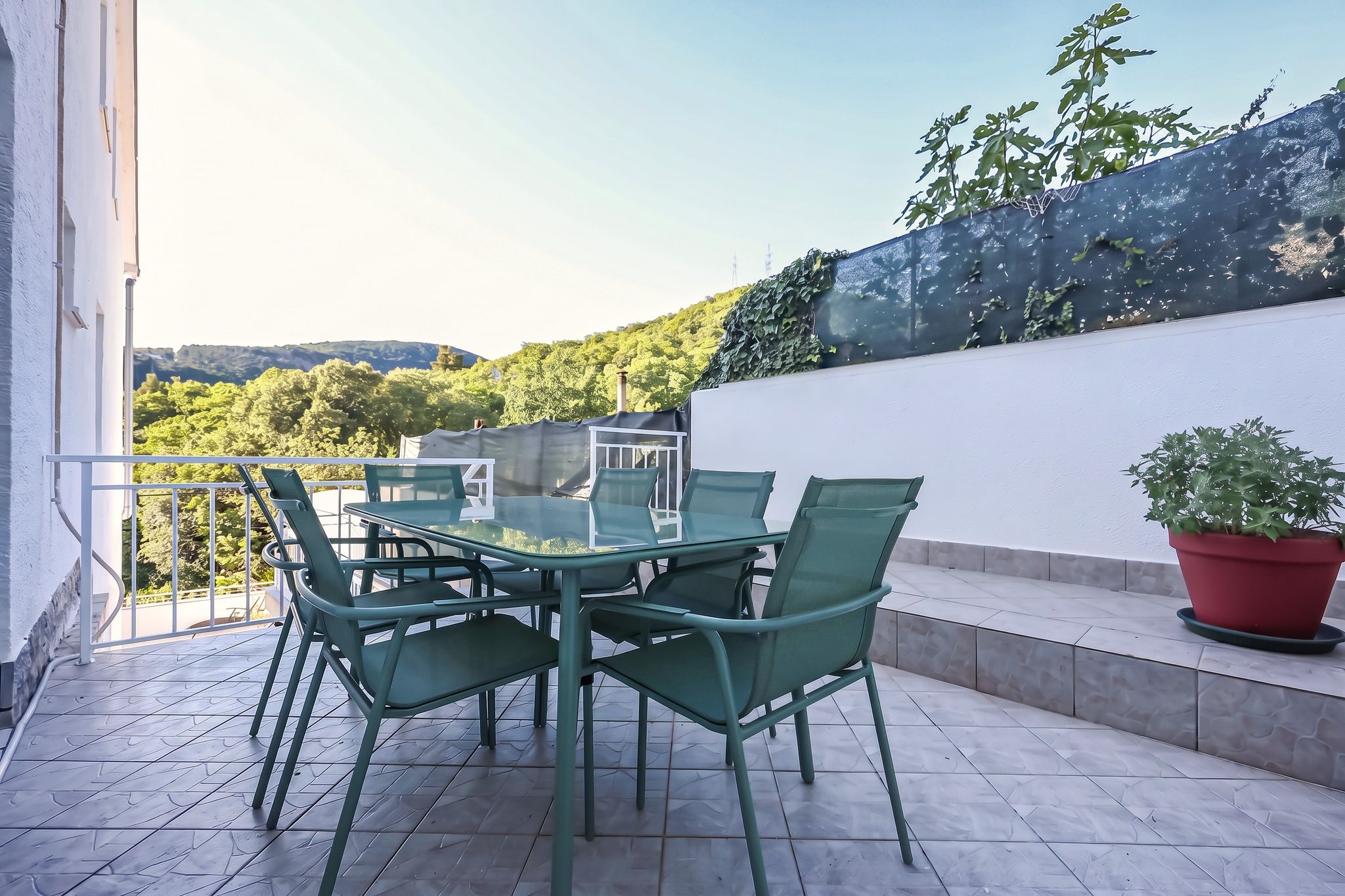 The terrace looking out over the valley, with the railing and the fig