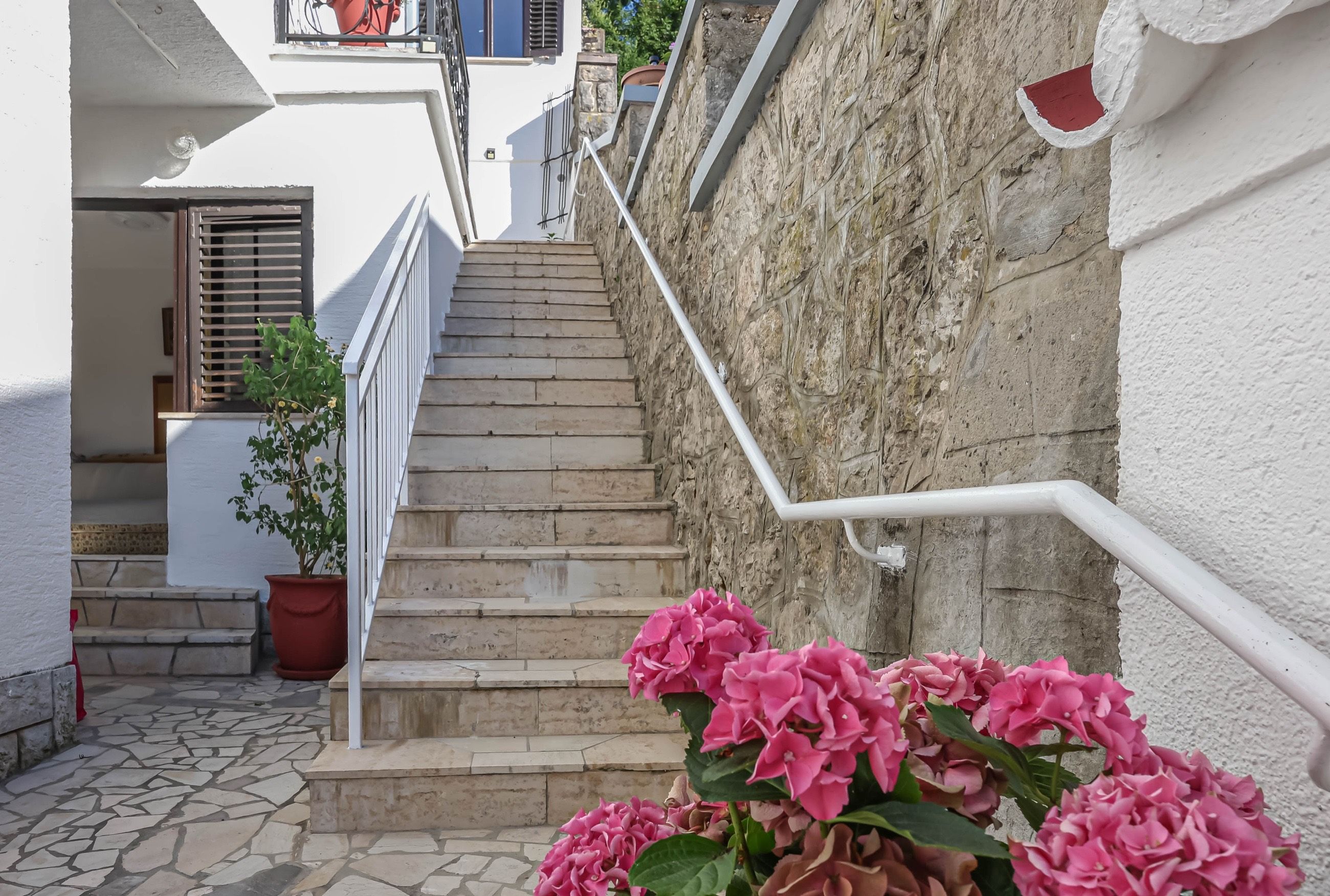 Stone steps up to the house, with bougainvillea